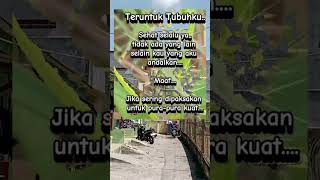 Download Lagu teruntuk tubuhku MP3