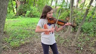 Guardian By Lindsey Stirling ~ Violin Cover