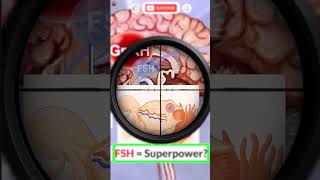 FSH and Ovulation : The True Conductor of Your Ovaries ! 🧠 #science #shorts
