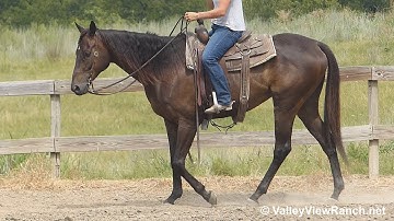 Theedgeofparadice***New Video***For info, price, etc., go to our website*** ValleyViewRanch.net