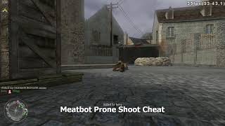 Call Of Duty 2 Meatbot Prone' aimbot!