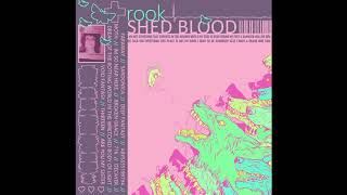 untitled - shed blood cassette recording