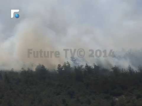 أحراج عكار تلتهمها النيران والأهالي يناشدون الجيش المساعدة