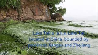 Eutrophication Video