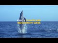 Climate and Biodiversity Week