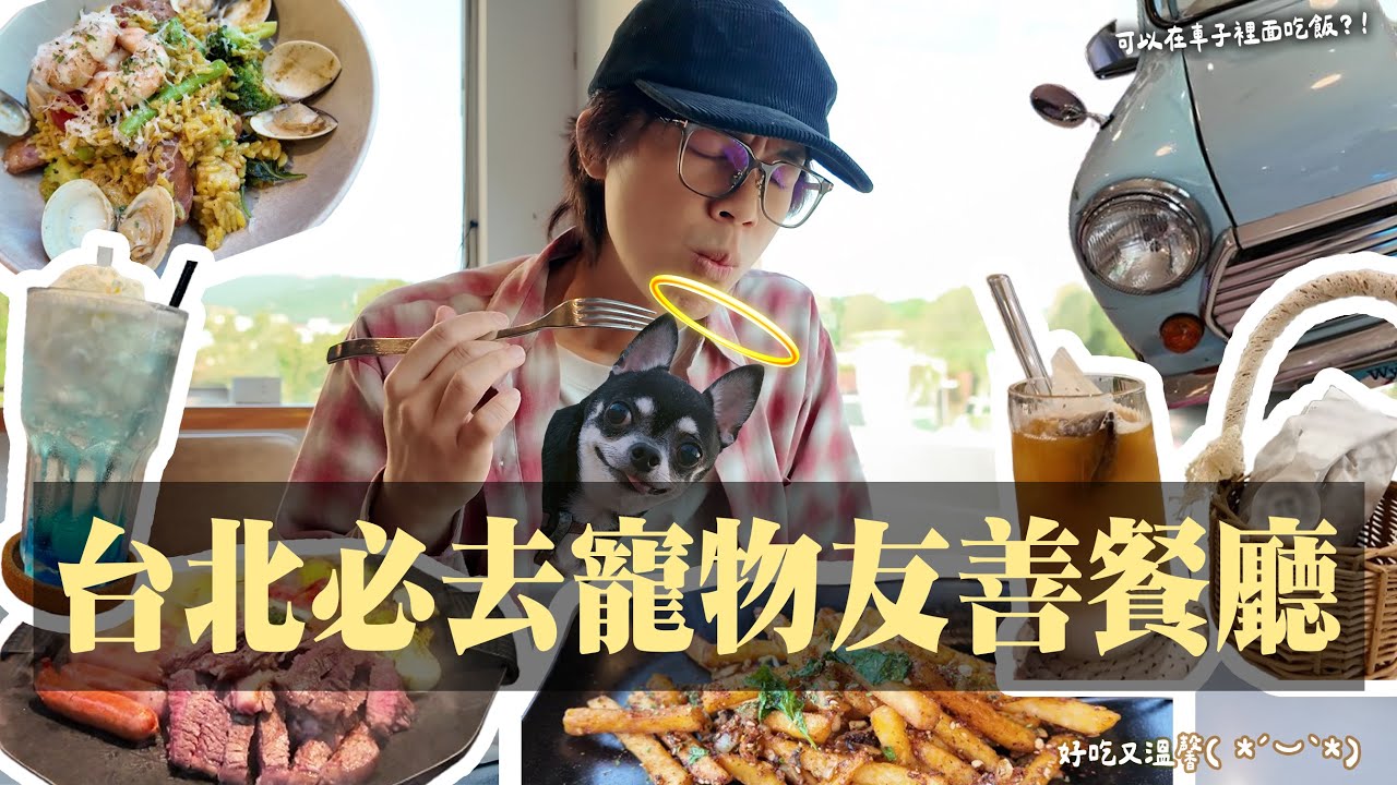 好吃到哭出來（物理）沒帶寵物也超推薦的寵物友善餐廳 / HowFun