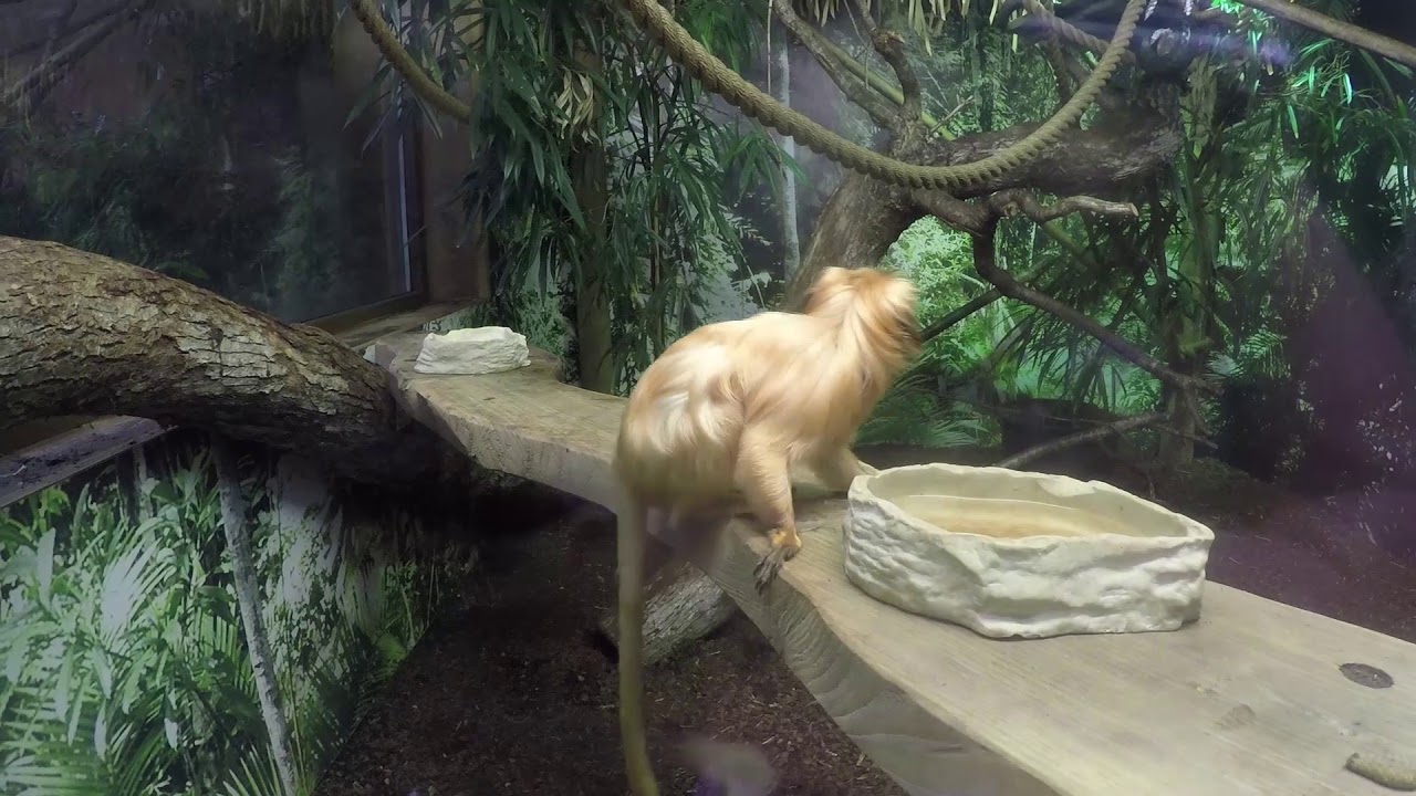 Bloggpost 7: GoPRO film.