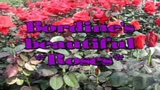 Bordine Rose Production