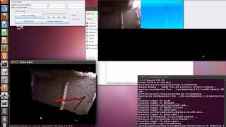 3D tracking of bats using Kinect