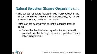 Chapter 3 and 11 Lecture - APES
