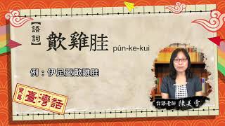 1081108【大新店地方新聞】寶島臺灣話 歕雞胿
