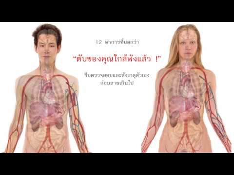 12 สัญญาณเตือนว่าตับของคุณใกล้พังแล้ว | DIY Knight