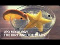 JPo Mixology: The Dirt and the Stars Cocktail