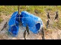 Bird Trap Technology - Best Big Bottle Bird Trap - How to make bird trap with big plastic bottle