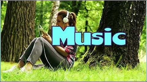 Excel 8. Module 3. Music