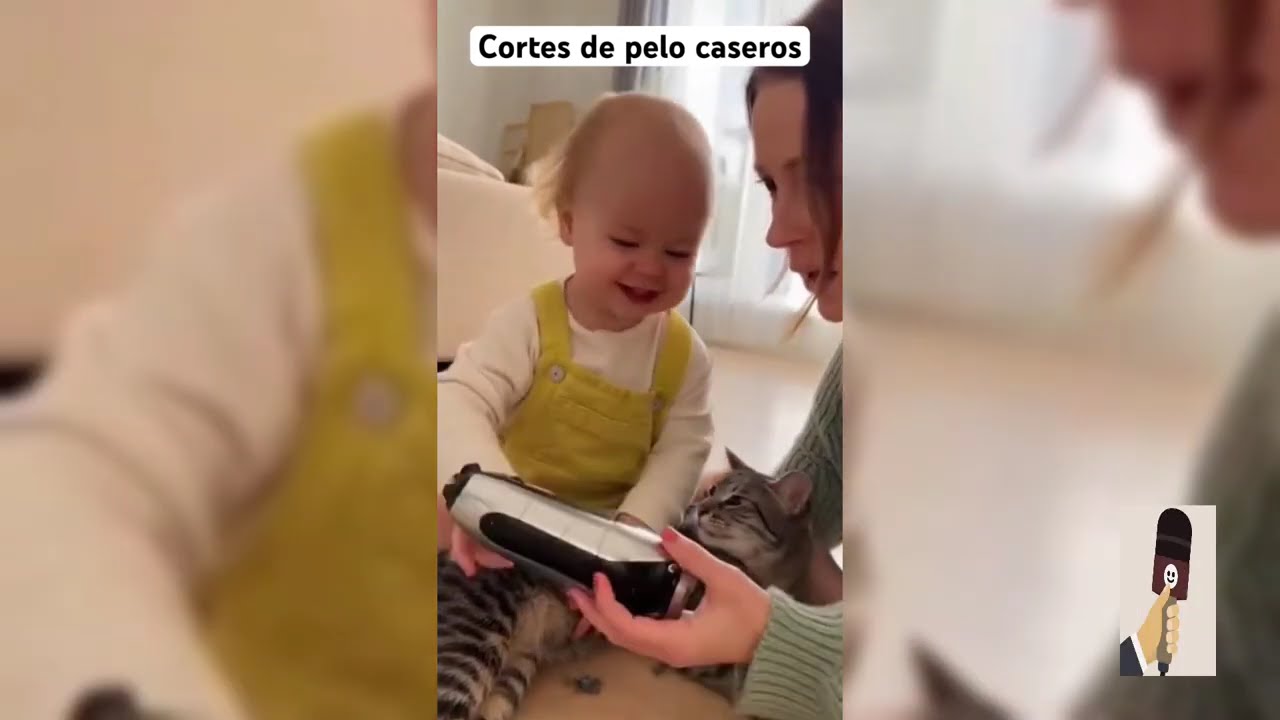 Recopilatorio definitivo de los mejores gatos con IA del canal 🐱🎬😂