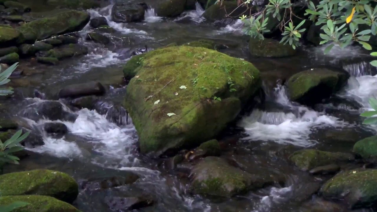 Streams of Relaxation, Jake's Creek, Elkmont Campground, ASMR