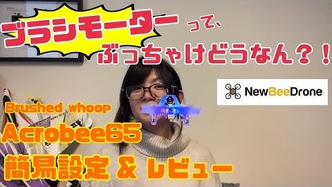 【NewBeeDrone/ドローン】まさかのブラシモーターTINY WHOOP!???Acrobee65 Brushed ELRS 簡易設定＆さっくりレビュー!!!!【ExpressLRS】