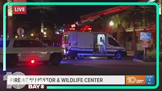 Multiple animals killed in fire at Alligator & Wildlife Center near John's Pass