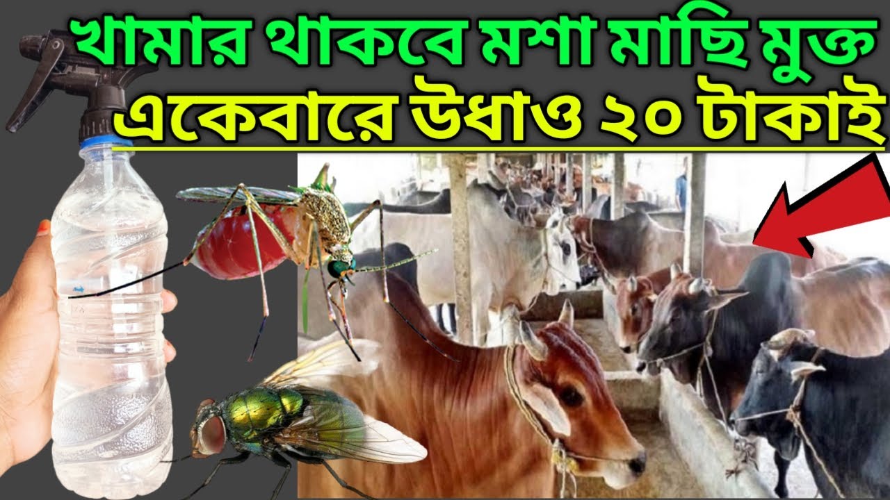 মশা মাছির জম/খামার থাকবে নিরাপদ/মশা মাছি তাড়ানোর উপায়/Mosa Taranor