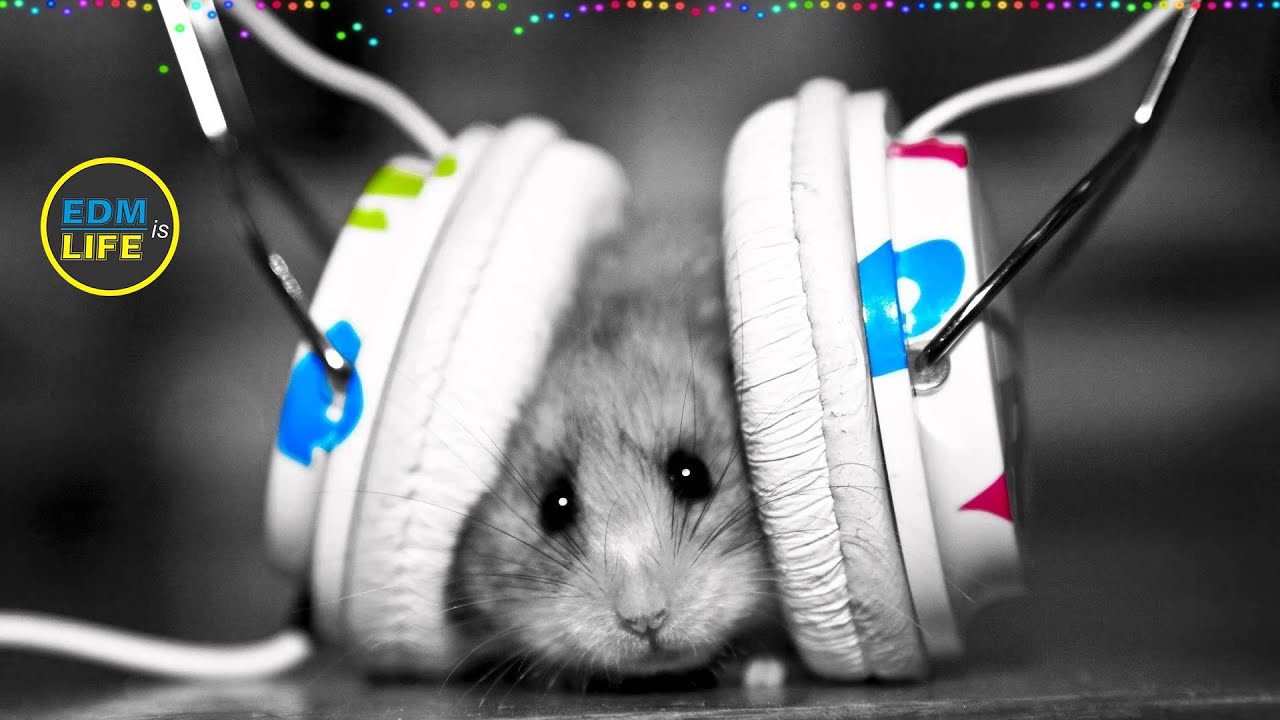 Best gaming music 2015 dubstep | Best dubstep songs 2015