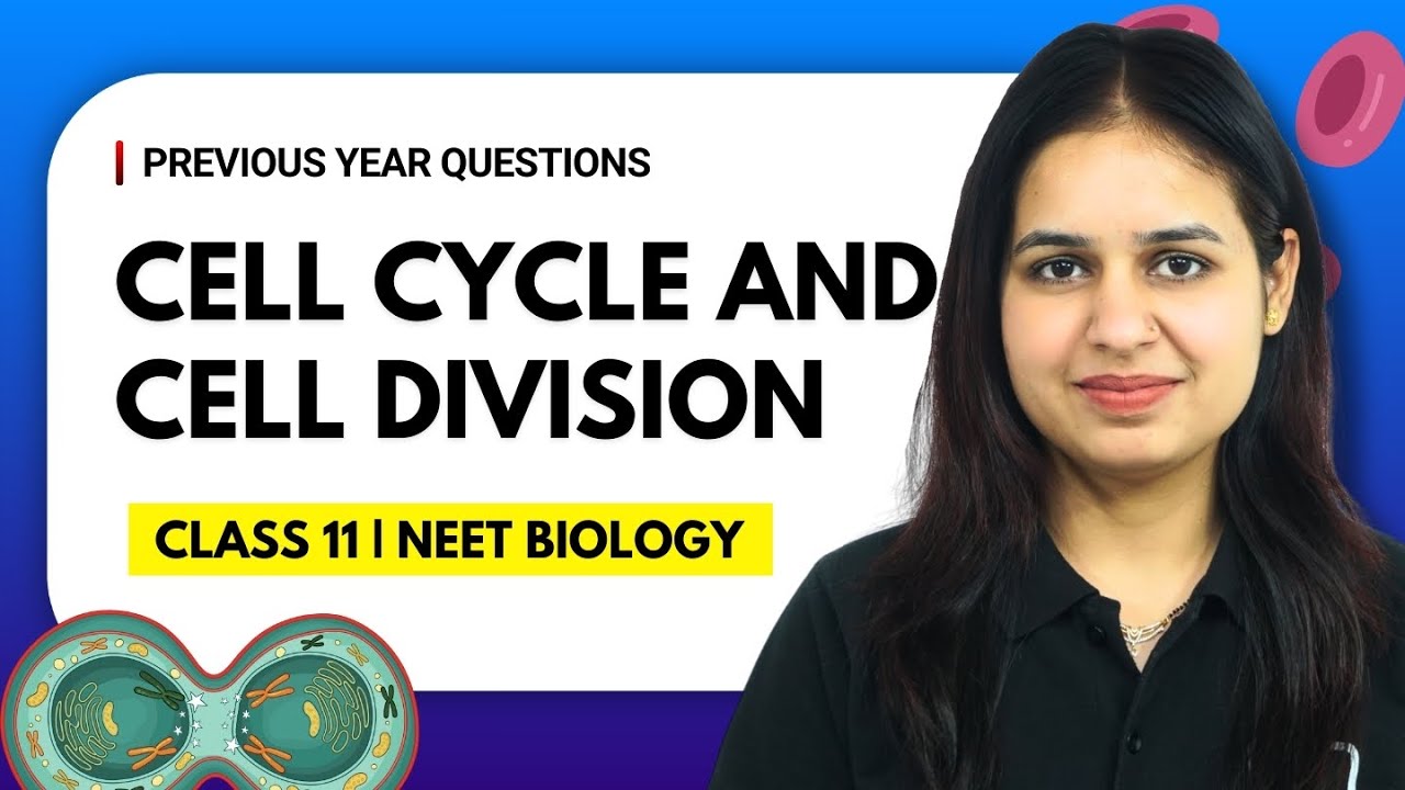 Cell Cycle and Cell Division | Previous Year Questions 📘 | NEET Biology ...