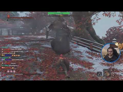 Video: Sekiro True Corrasted Monk Fight - Come Battere E Uccidere Il Monaco Corrotto Della Fontana