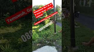 dijual pekarangan gaes di Gamping Sleman, Jogjakarta 1,7/ m