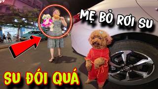#19: MẸ GIẤU SU DẪN BÔNG ĐI ĂN ĐÙI GÀ Ở PHỐ ẨM THỰC  | CHÚ CHÓ ĐI HIA CHÂN