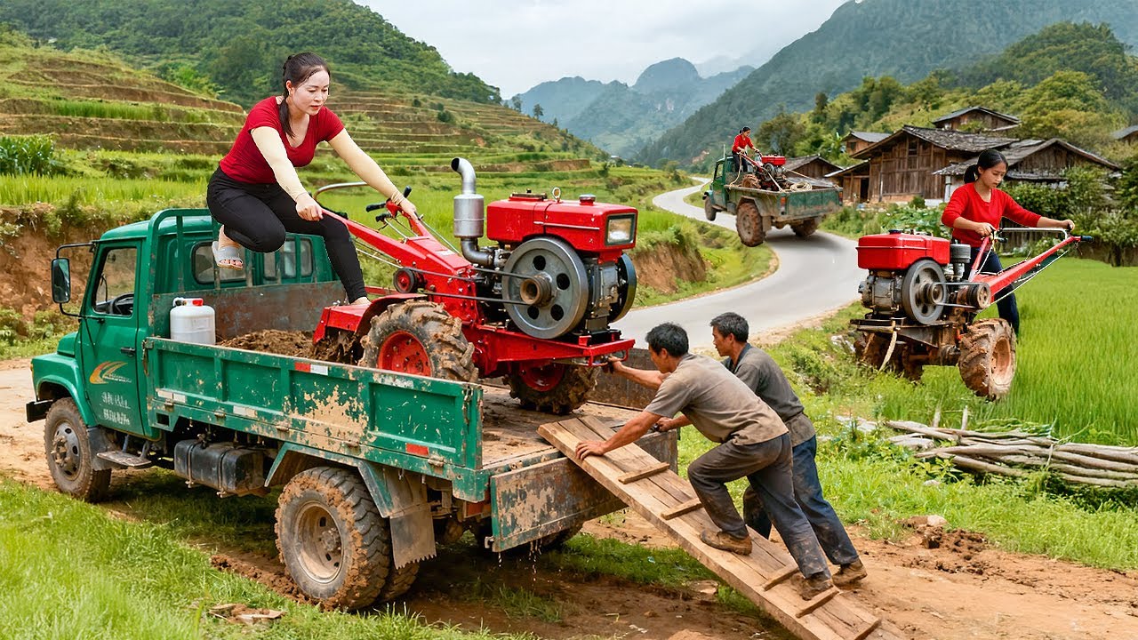 Use Truck to Transport Diesel Engine Tractor to Highland People & Farm Animal Care
