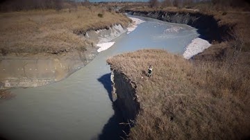 "Watch Me Bebop" App bring selfies to the next level!! Parrot Drone