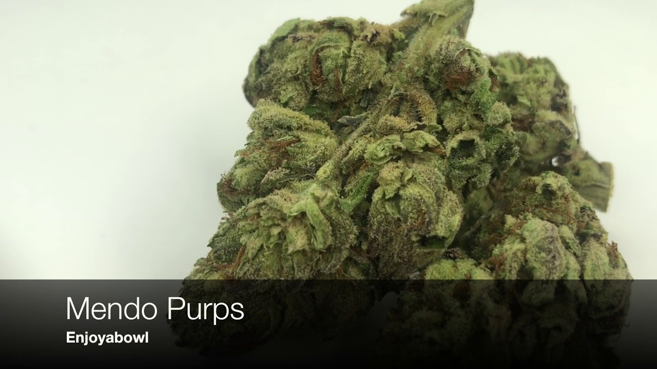 Mendo Purps