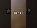 コロナで隔離生活が猫にバレた瞬間#shorts