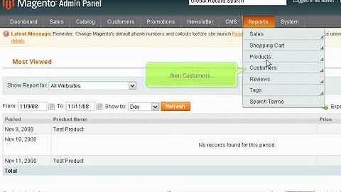 How to view reports sales, shipping etc  in Magento