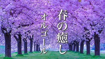 تحميل 平井大 オルゴール