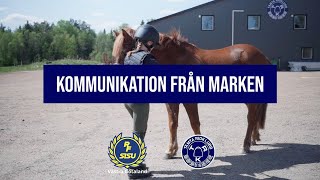 Kommunikation Från Marken - Tämta Ridklubb
