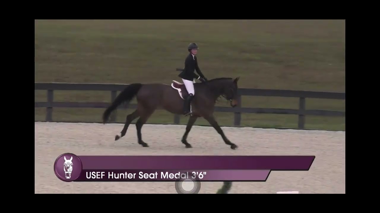 Air Control - USEF Medal