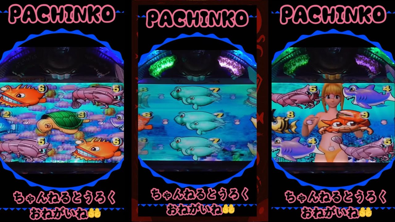 【大海物語スペシャルMTE】パチンコJAPANESE GAME 縦型！2026年2月23日❶【実機/リアル】