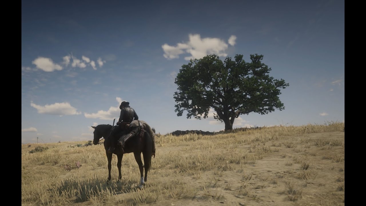 Red Dead Redemption 2 - EPIC Bounty Hunting Mission | RDR2 Gameplay 4K