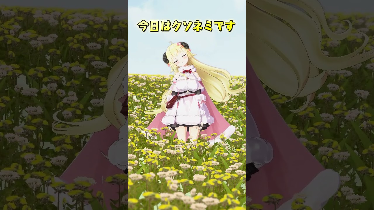 今日は・・・・【 #今日のわため 】 #shorts