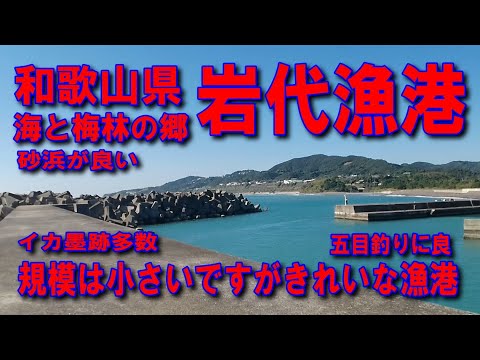 #128和歌山県岩代漁港海と梅林の郷が見える素敵な道規模は小さいですがきれいな漁港ファミリー家族連れサビキ釣りに良い雄大な海五目で色々な魚が良く釣れる漁港イカ墨跡多数階段があれば登ってみたいのが人の常
