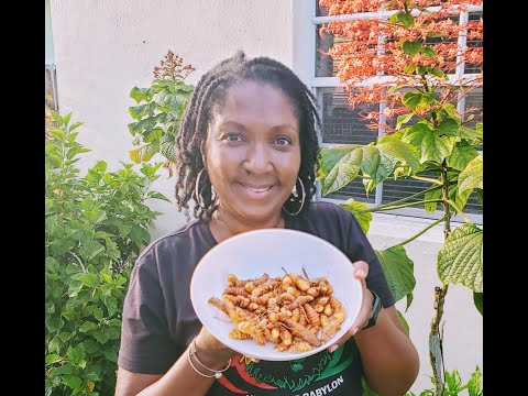 Harvest Tumeric grown  in small container