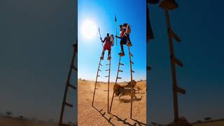 Lions Clawing the Stilts – Warrior Balances & Yells for His Life!"#MaasaiWarrior