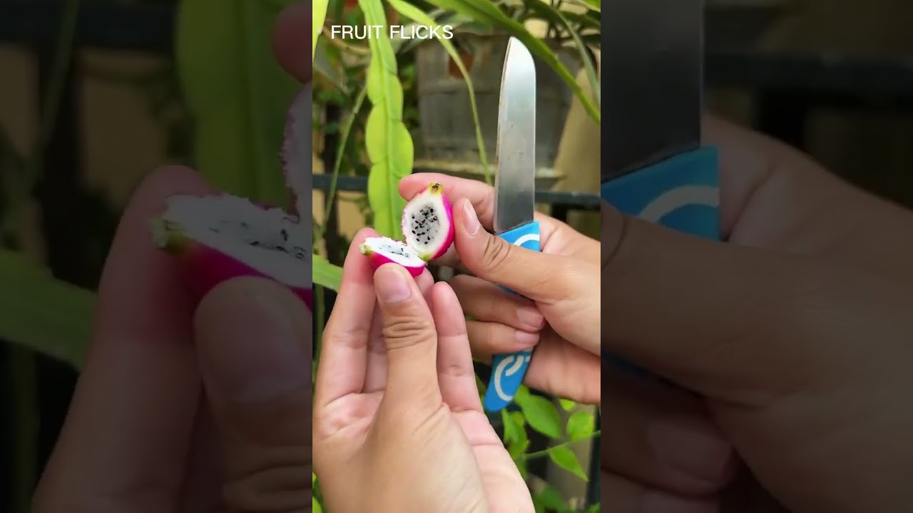 Satisfyingly Cutting FRESH Fruits!