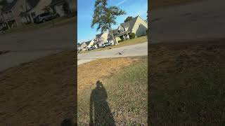 He Must Live In The Neighborhood Lol