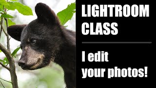 Lightroom Editing Class (I edit your photos)