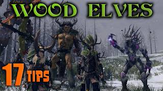 17 useful tips for Wood Elves campaign that can help you in Total War Warhammer 3: Immortal Empires