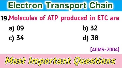 electron transport chain mcq || electron transport chain biochemistry