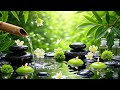 Relaxing Healing Music 🌿 Deep Sleep Music for Stress Relief, Anxiety Relief, Calm Mind &amp; Body