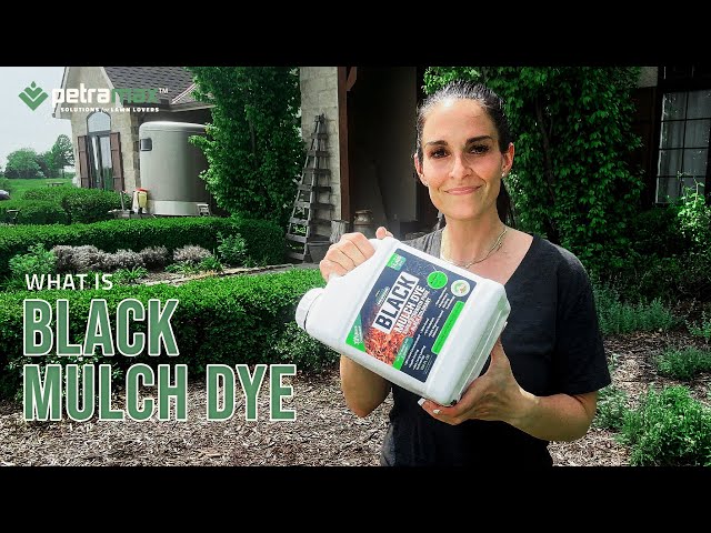 Mulch Dye - Does it work? - Arched Manor